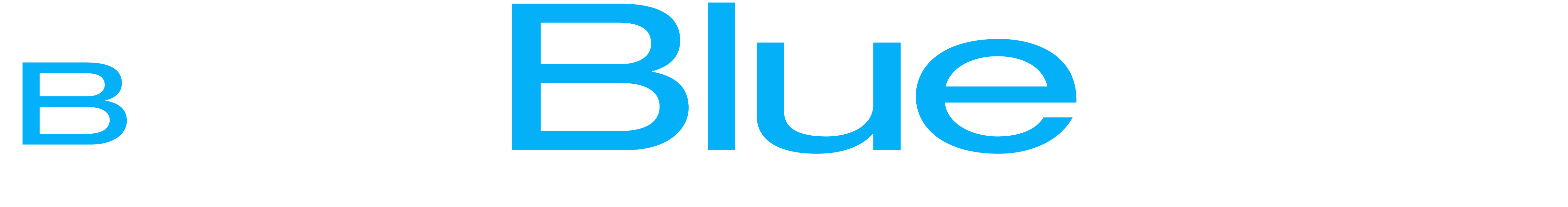 Blue Sky Construction Solutions